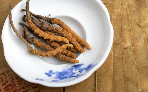 冬蟲夏草滋補(bǔ)藥膳方