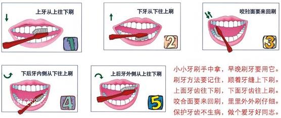刷牙前用牙刷沾水？教你正確刷牙方法