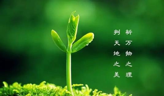 植樹節(jié)是幾月幾日？植樹節(jié)的由來和意義