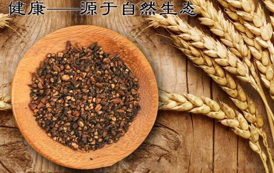 什么人不能喝大麥茶呢？ ?