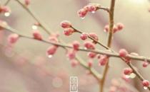 2019年雨水節(jié)氣是農(nóng)歷幾月幾日 2019年雨水時(shí)間