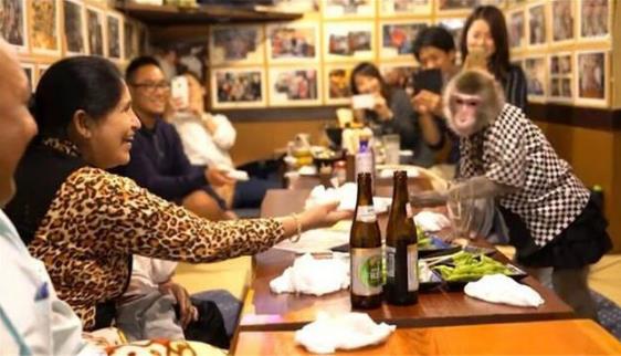 日本最火爆的餐廳之一 猴子當服務生，報酬只要香蕉
