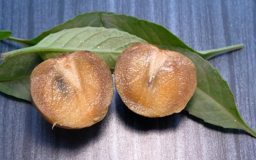 吃水果可以瘦肚子 這7種水果不要錯(cuò)過