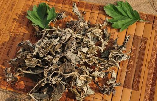 艾葉的功效 中醫(yī)大夫教你用艾葉和黑眼圈說拜拜