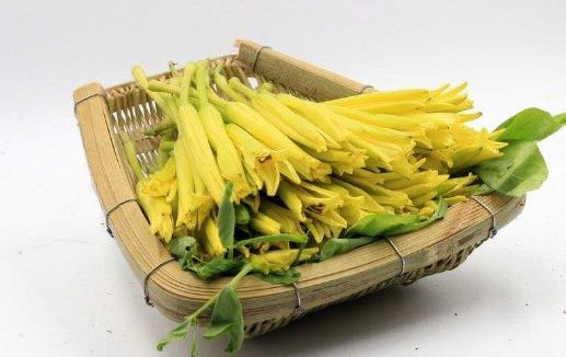 食以載道的黃花菜，安神除煩護(hù)膚美顏