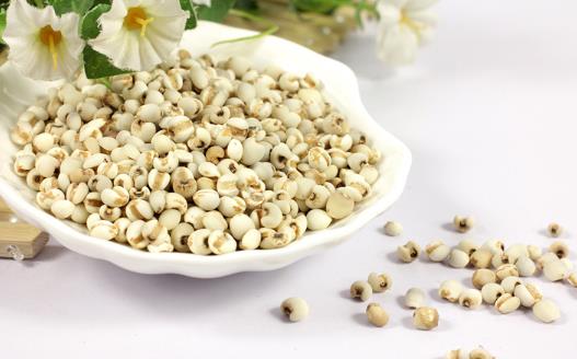 薏米吃對(duì)了除濕益氣，試試這幾個(gè)薏米的食療方