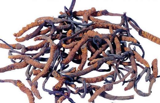 總是疲勞沒精神，濕熱體質(zhì)的你如何調(diào)理才能恢復(fù)健康