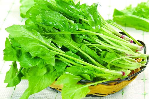 春季養(yǎng)生吃什么？這7種食物最適合春