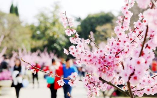 注意！未來3個(gè)月是過敏性結(jié)膜炎高發(fā)期