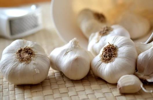 食物有助提高免疫力？9種食物不可錯(cuò)過(guò)！