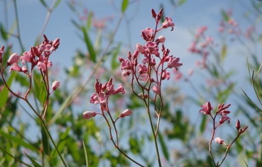 血管硬化難察覺(jué)?注意身體的三個(gè)信號(hào)