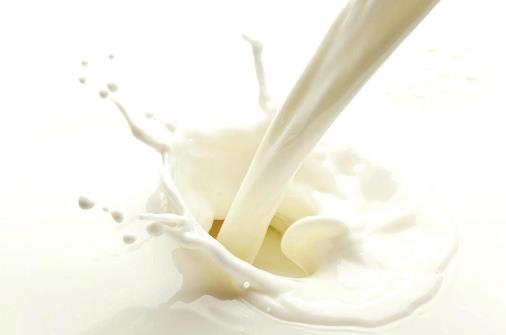 乳制品真的健康嗎？