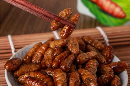 腎切除術(shù)后注意事項 男人補腎壯陽的食療方法