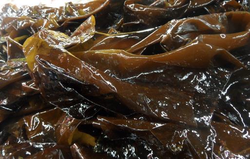 這些人群不宜食用海帶，一點都別沾最好