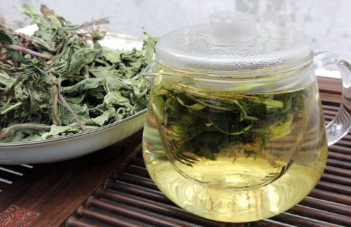 蒲公英的“根”能泡水喝嗎？有哪些功效？