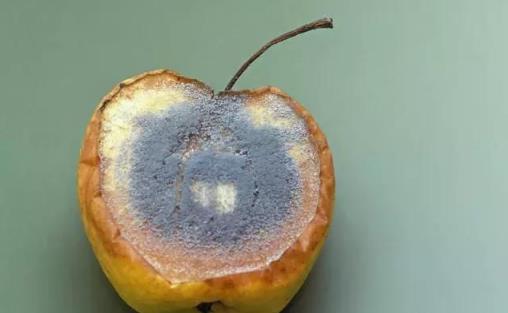 染發(fā)會不會危害健康？3種易致癌的行為應(yīng)立即停止