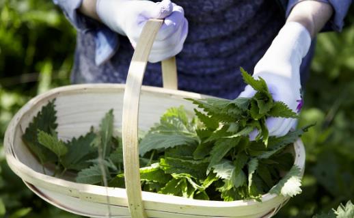 野菜純天然有營養(yǎng)，你知道怎么吃嗎