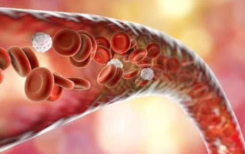喝醋、喝紅酒、喝魚油能軟化血管？真正管用的其實是它 