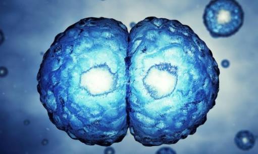 平時不痛不癢，一查癌癥就是晚期？醫(yī)生奉勸：7類人需定期