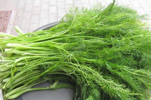 茴香價格便宜，營養(yǎng)并不少，可是營養(yǎng)師提醒，用茴香做餡