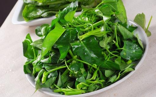 空心菜用油炒過(guò)后顏色發(fā)黑，這是“有毒物質(zhì)”嗎？營(yíng)養(yǎng)師