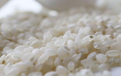大米放冰箱容易被污染？假！但有些食物寧愿扔了，也不能