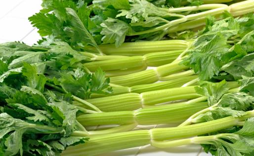 芹菜是“天然的降壓菜”？錯(cuò)了，真正對(duì)血壓有好處的，是