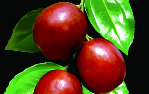 五谷加大棗勝過(guò)靈芝草 紅棗宜于夏季滋補(bǔ)