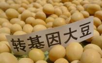 ?轉(zhuǎn)基因技術的安全性分析 生產(chǎn)轉(zhuǎn)基因食品的原因
