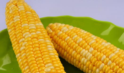 出現(xiàn)內分泌失調 可以調理內分泌失調的食物