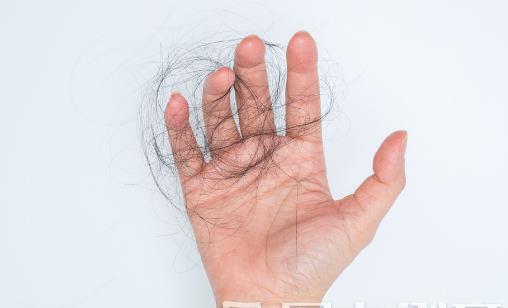 年輕人脫發(fā)的八大原因 利于頭發(fā)健康的食物