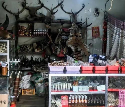 旅游出國(guó)去哪里?小眾獨(dú)特神圣小勐拉 讓你感受異域情