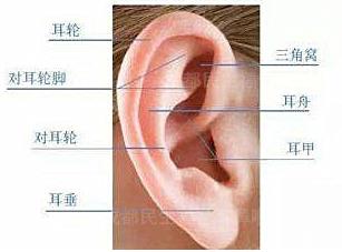 新生兒耳廓畸形能矯正嗎？看成都民生耳鼻喉醫(yī)院如何支招