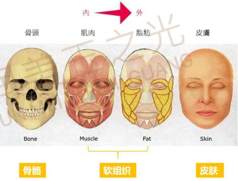 自體多肽脂肪實(shí)現(xiàn)新突破，塑造無(wú)法復(fù)制的自然美