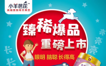 小羊芭芘——西班牙進口“貴族純羊典范，眼明腦聰長的高”