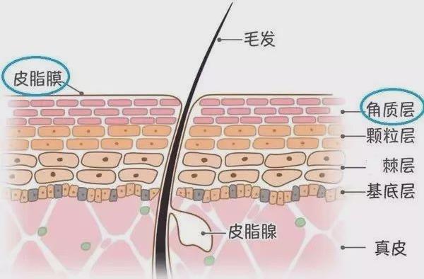 年前肌膚大拯救，萊斯歐肌膚修護(hù)三部曲！