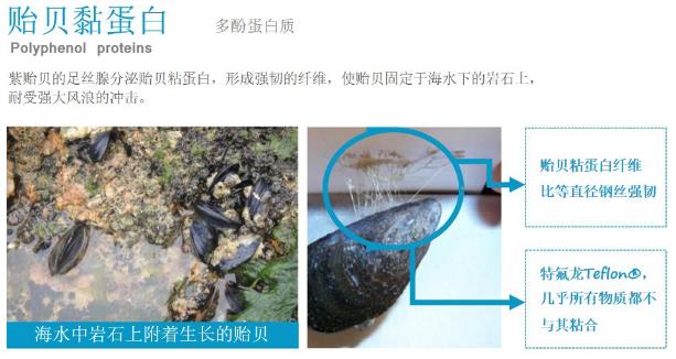 年前肌膚大拯救，萊斯歐肌膚修護(hù)三部曲！