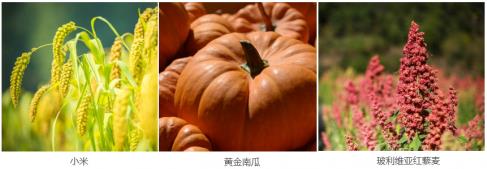 海參配粥吃，您的營養(yǎng)新選擇！