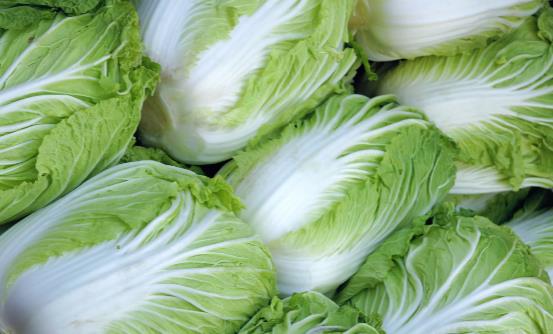 腸胃不好吃些什么好？分享七種常見食物