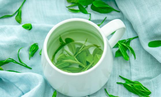 長期喝茶身體會更健康嗎 喝茶能促進(jìn)新陳代謝改善健康狀況