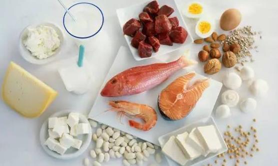 男人腎不好多吃這8種食物 應攝入充足的優(yōu)質蛋白質
