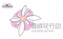 2020蜜特奧兒“雪絨花計(jì)劃”全面開(kāi)啟，隆重來(lái)襲！