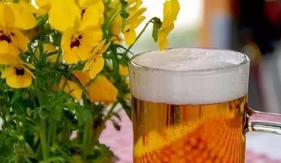 啤酒的15條生活妙招 妙用啤酒擦玻璃、洗刷鍋底、澆花、洗衣、做飯