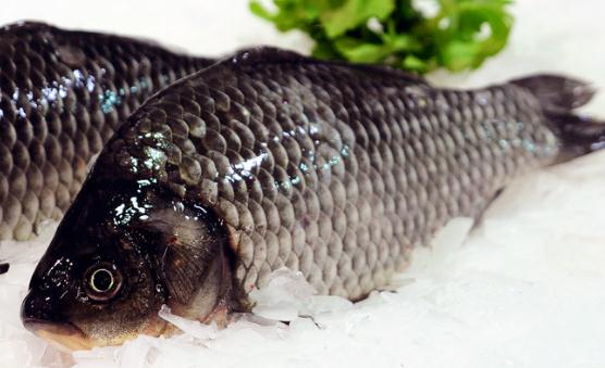 喝鯽魚(yú)湯可以調(diào)節(jié)腸胃 烹制奶白鯽魚(yú)湯的秘訣及禁忌