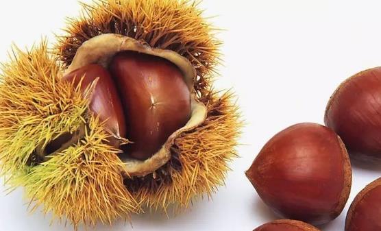生活中能夠補(bǔ)腎的食物 4款食療方補(bǔ)腎美顏