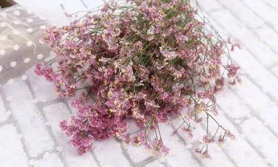 如何讓鮮花長開不敗？