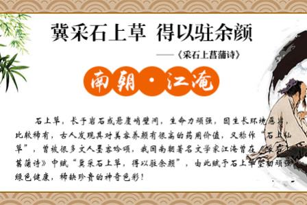 石上草：脫發(fā)怎么辦？用什么洗發(fā)水好？
