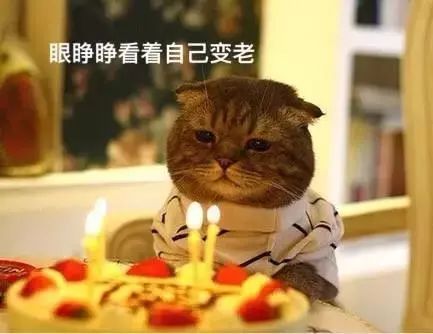 不同類型的肉冷凍保存時間不同，吃僵尸肉有危害嗎，如何辨別