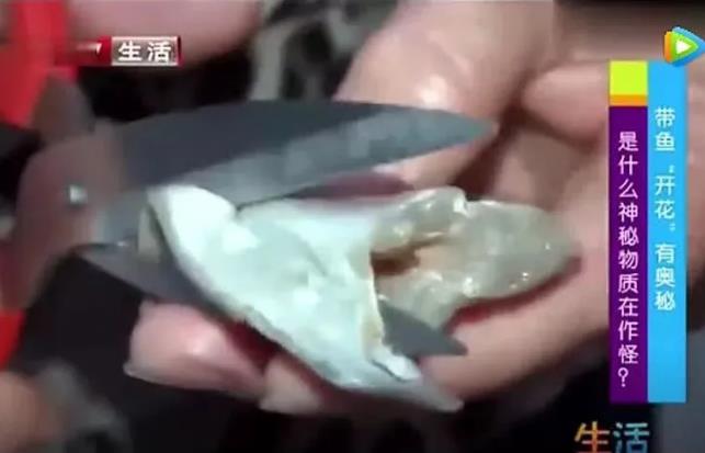 甲醛浸泡過的帶魚一碰熱油就扭曲、炸裂“開花”，千萬別買別吃