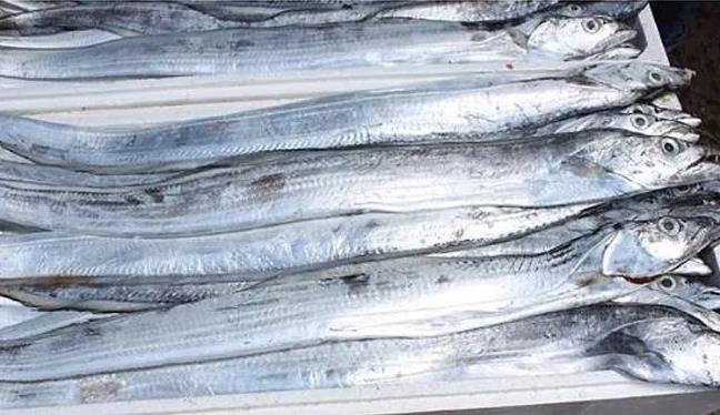 甲醛浸泡過的帶魚一碰熱油就扭曲、炸裂“開花”，千萬別買別吃